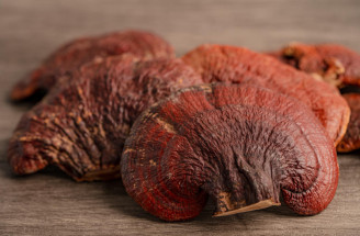 Reishi: Objavte tajomstvo huby nesmrteľnosti pre zdravie a vitalitu!